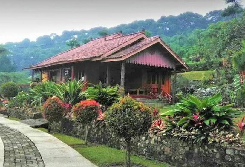 Hotelli Villa Honey Robert