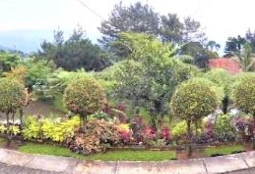 Hotelli Villa Honey Robert