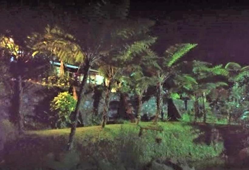 Hotelli Villa Honey Robert