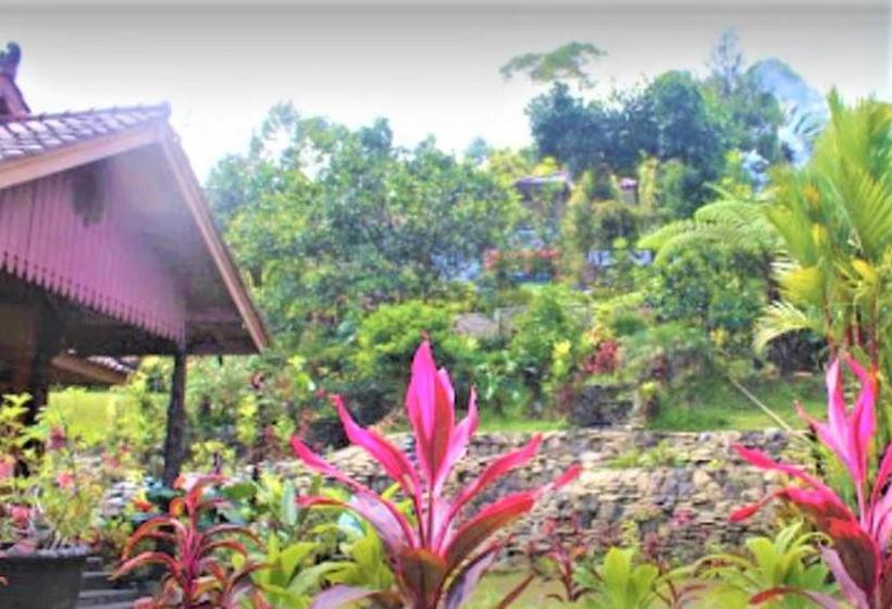 Hotelli Villa Honey Robert