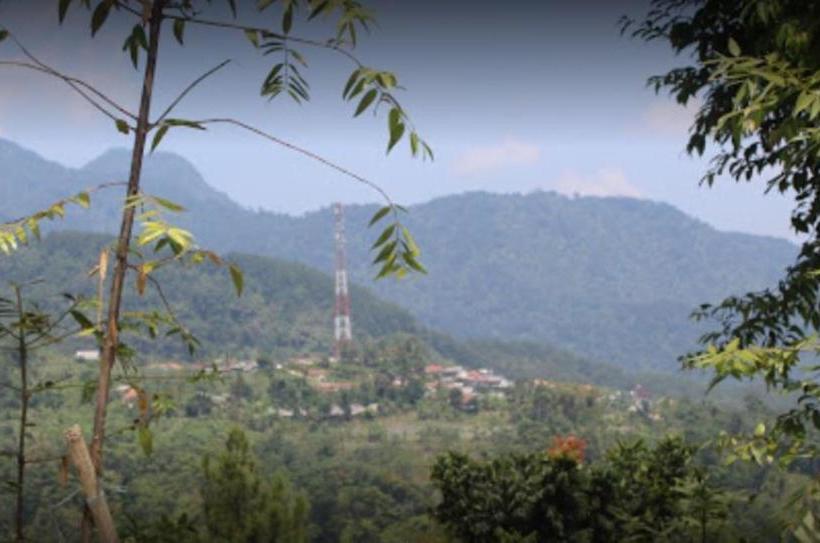 Hotelli Villa Honey Robert