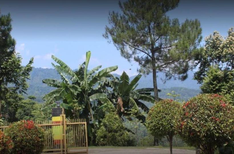 Hotelli Villa Honey Robert