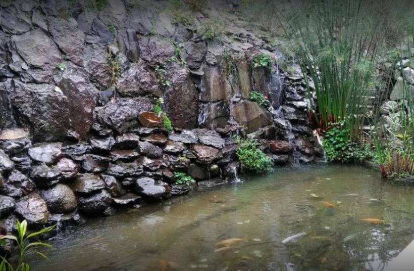 Hotelli Villa Honey Robert