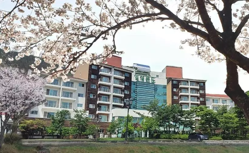 Muju Ilsung Condo