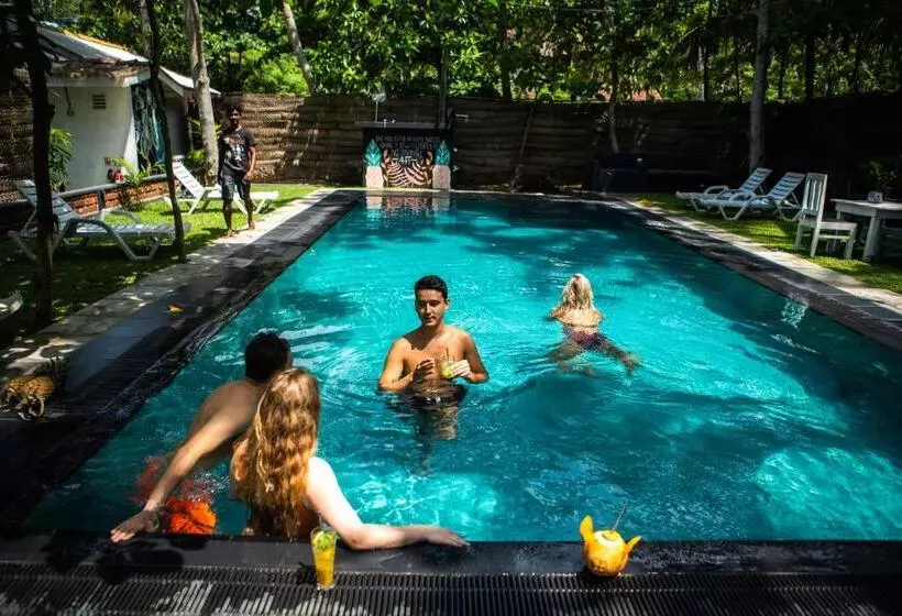 Majatalo Dots Bay House