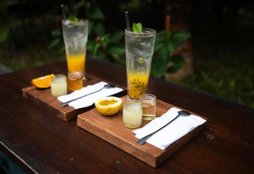 ペンション Dots Bay House