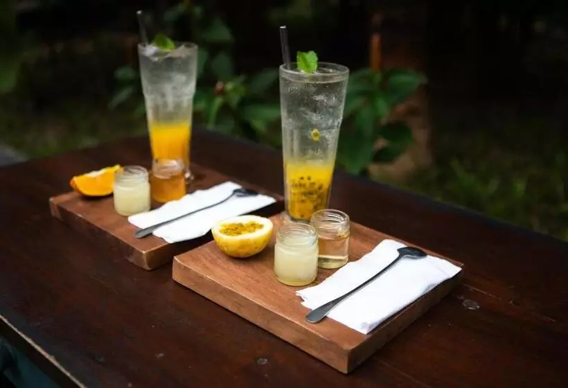 Majatalo Dots Bay House