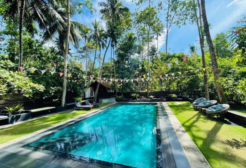 ペンション Dots Bay House