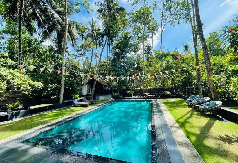 Majatalo Dots Bay House