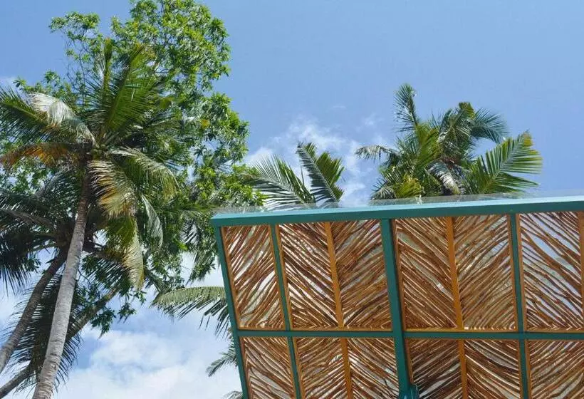 Majatalo Dots Bay House