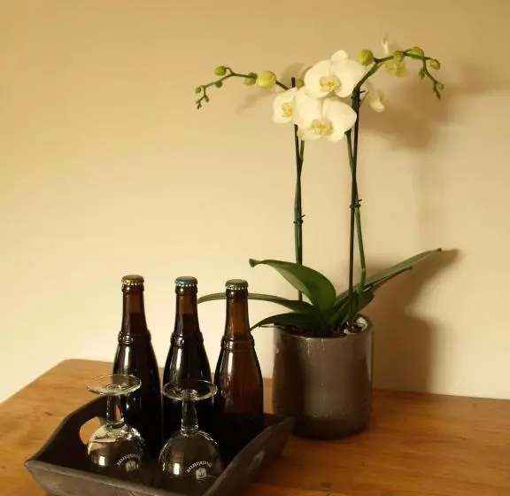 B&b Pastorie Van Merkem