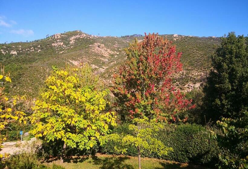 צימר L Ogliastru