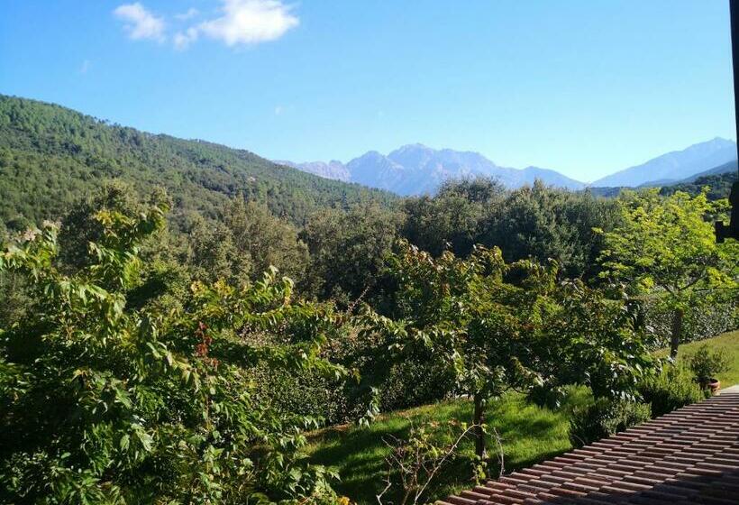 צימר L Ogliastru