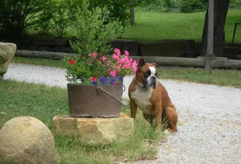 Hotelli Auberge Les Sibourgs