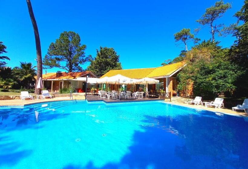 酒店 Los Pinos Punta Del Este