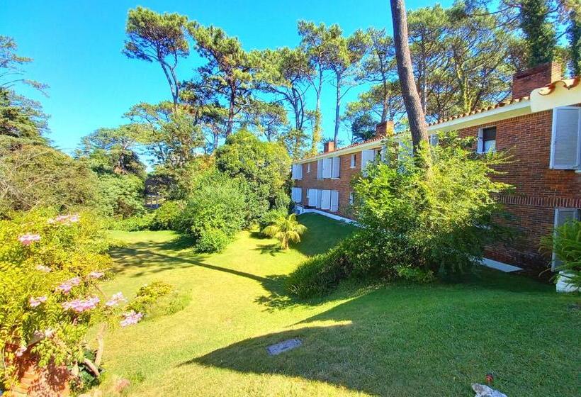 酒店 Los Pinos Punta Del Este