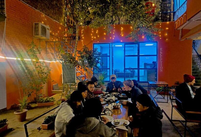 Live Free Hostel Varanasi