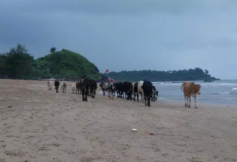 Pensió Indraprasth Palolem Hill
