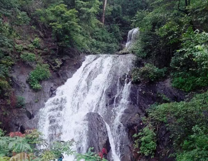 Pensió Indraprasth Palolem Hill