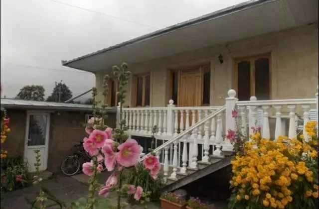 پانسیون Nino's Guest House