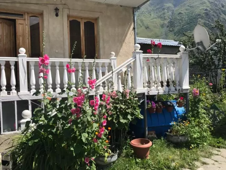پانسیون Nino's Guest House