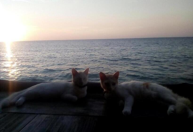 پانسیون Nuestra Cabañita