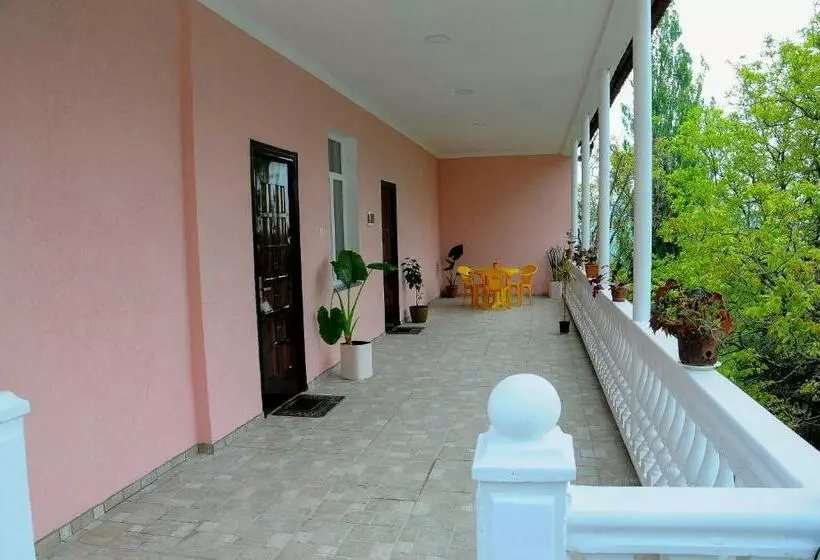 پانسیون Sofia Guest House