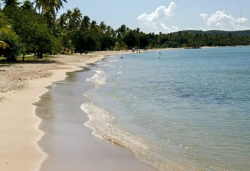 هتل Aquarius Vacation Club At Boqueron Beach Resort