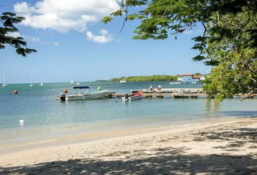 هتل Aquarius Vacation Club At Boqueron Beach Resort