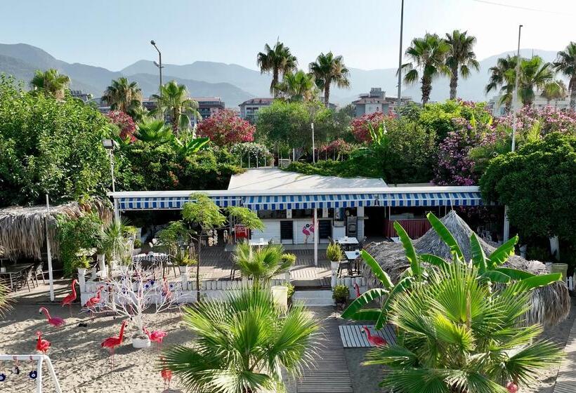 בית מלון כפרי Blue Wave Suite