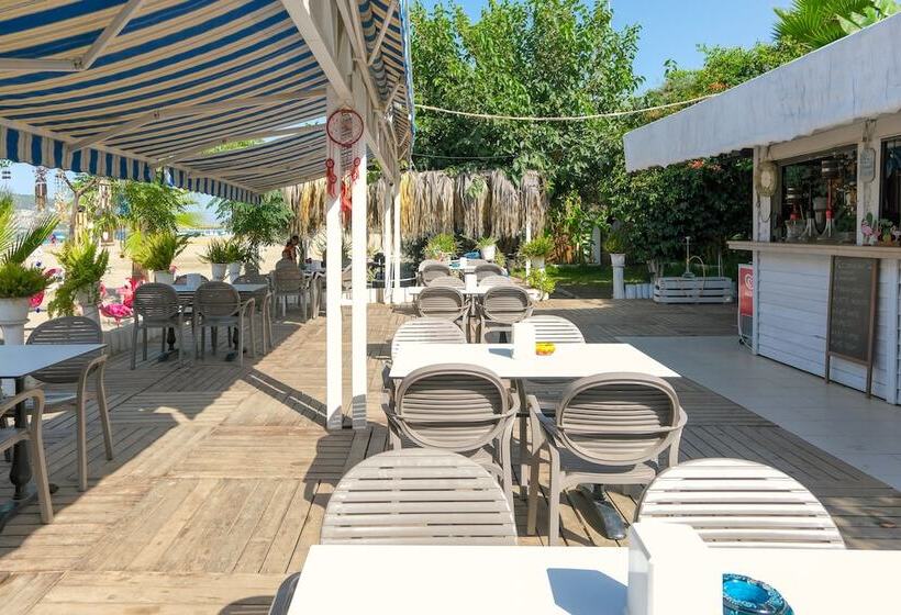 בית מלון כפרי Blue Wave Suite