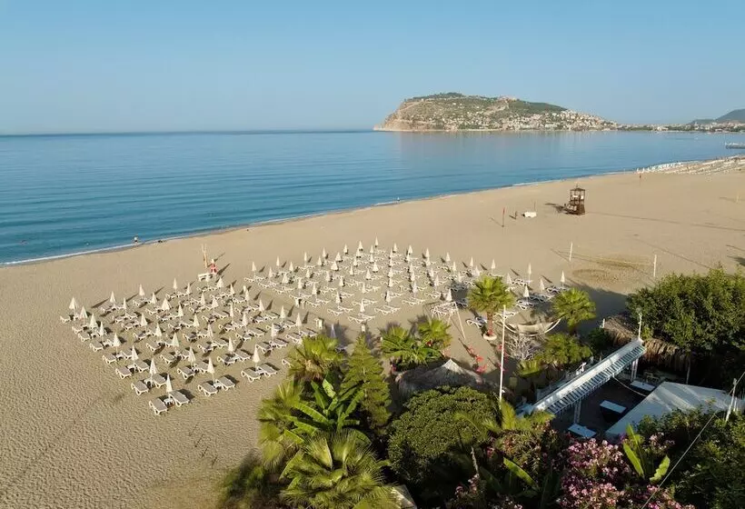 Hotel Blue Wave Suite