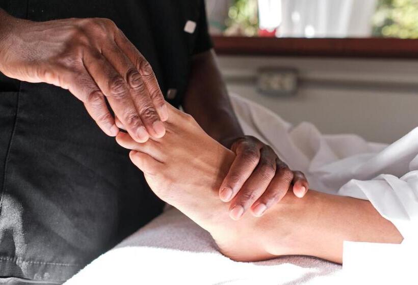 فندق Ciutat Jardi