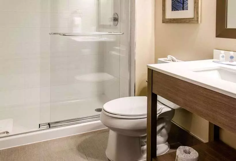 فندق Comfort Inn Airport Dorval