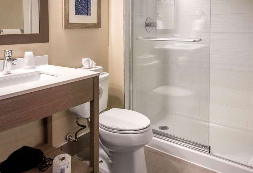 فندق Comfort Inn Airport Dorval