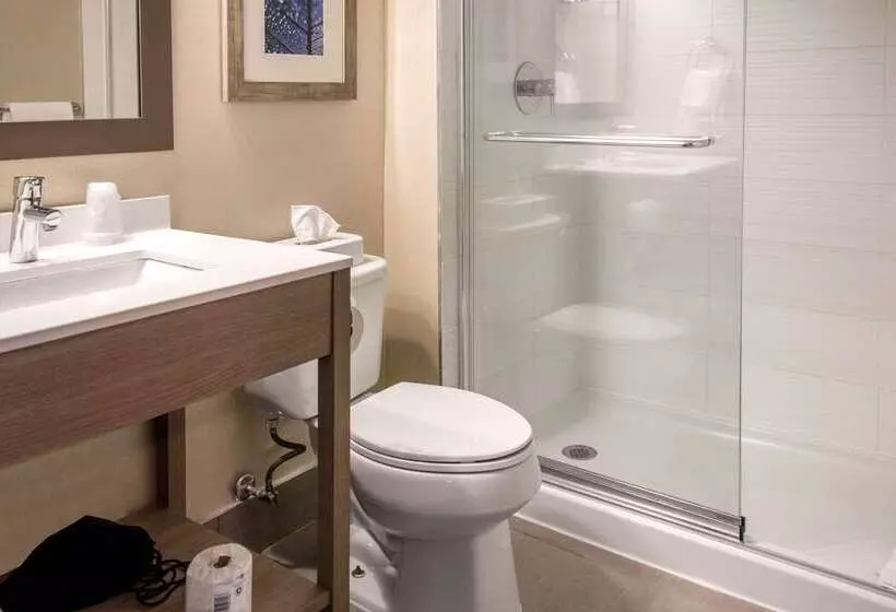 فندق Comfort Inn Airport Dorval