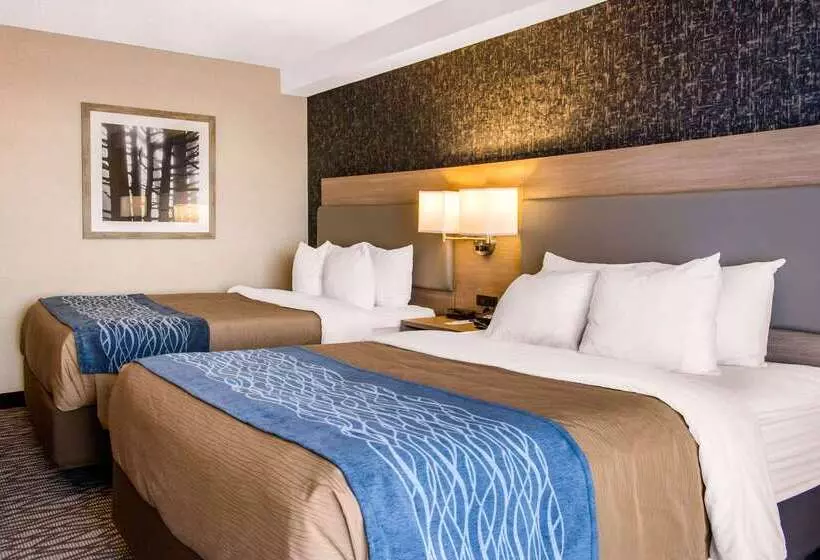 فندق Comfort Inn Airport Dorval