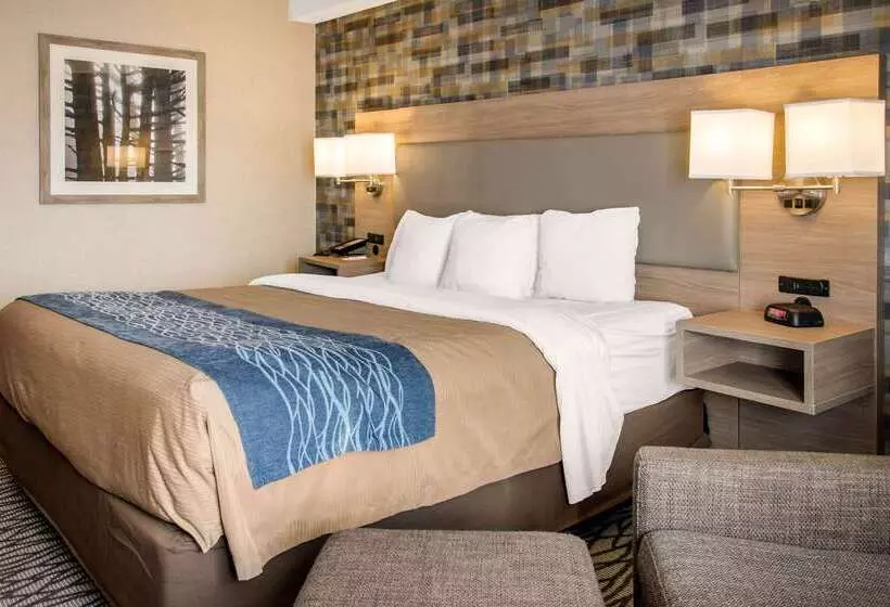 فندق Comfort Inn Airport Dorval