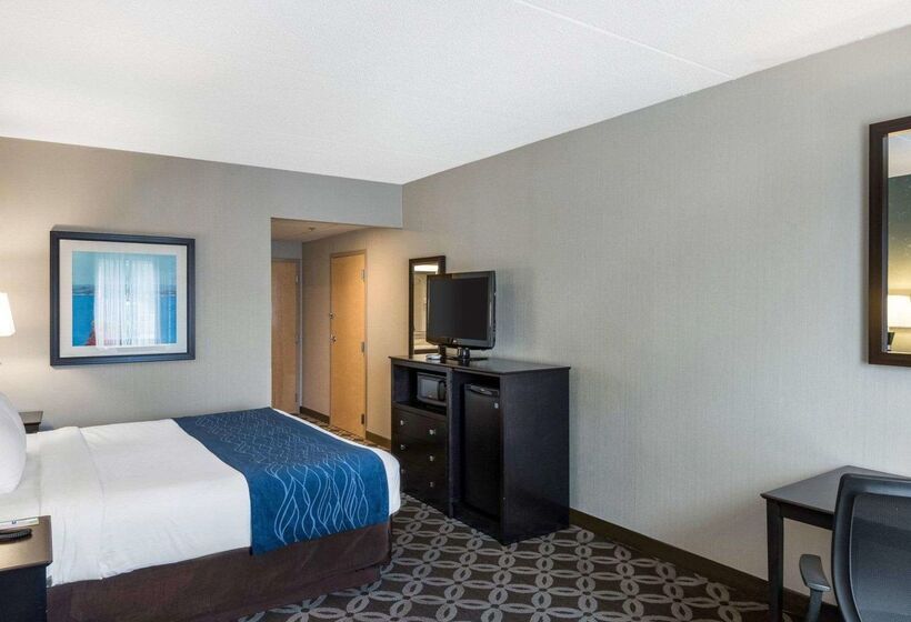 فندق Comfort Inn Rehoboth Beach