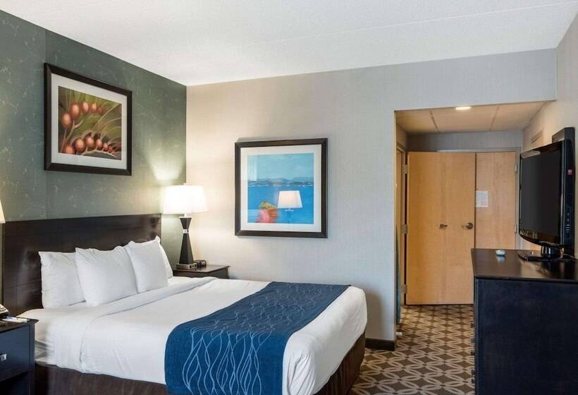 فندق Comfort Inn Rehoboth Beach