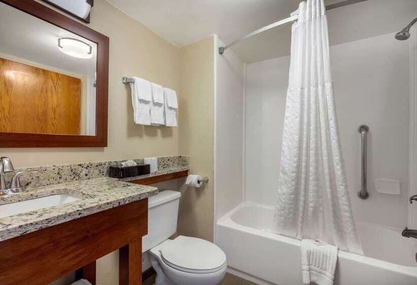 בית מלון כפרי Comfort Inn & Suites Hamilton Place