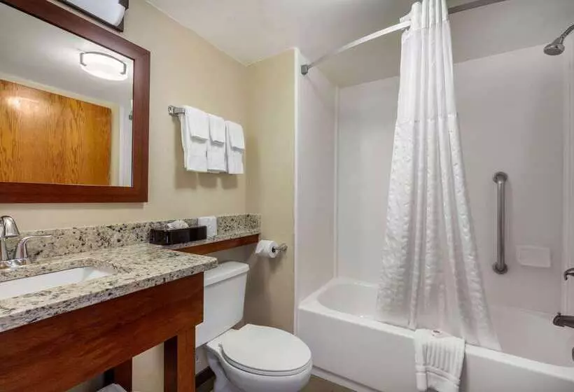 Отель Comfort Inn & Suites Hamilton Place