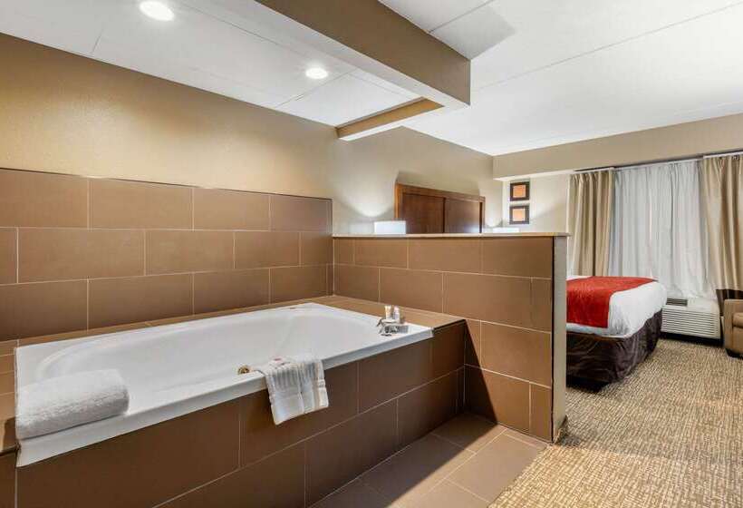 בית מלון כפרי Comfort Inn & Suites Hamilton Place