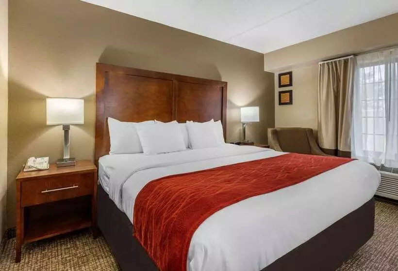 Отель Comfort Inn & Suites Hamilton Place