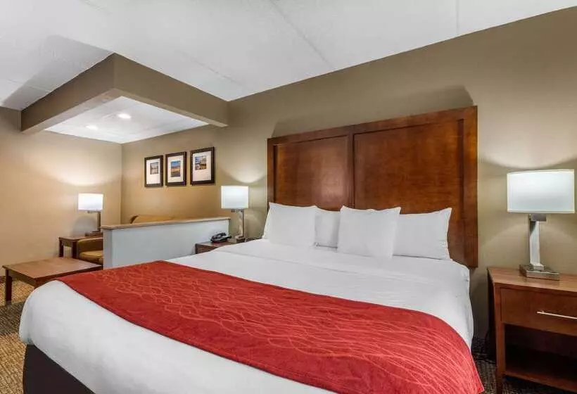 Отель Comfort Inn & Suites Hamilton Place