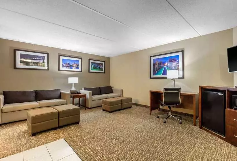 Отель Comfort Inn & Suites Hamilton Place