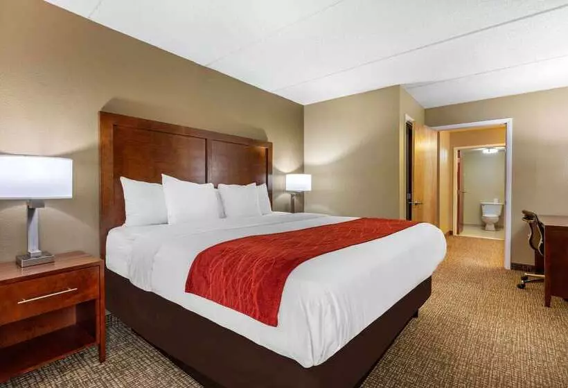 Отель Comfort Inn & Suites Hamilton Place