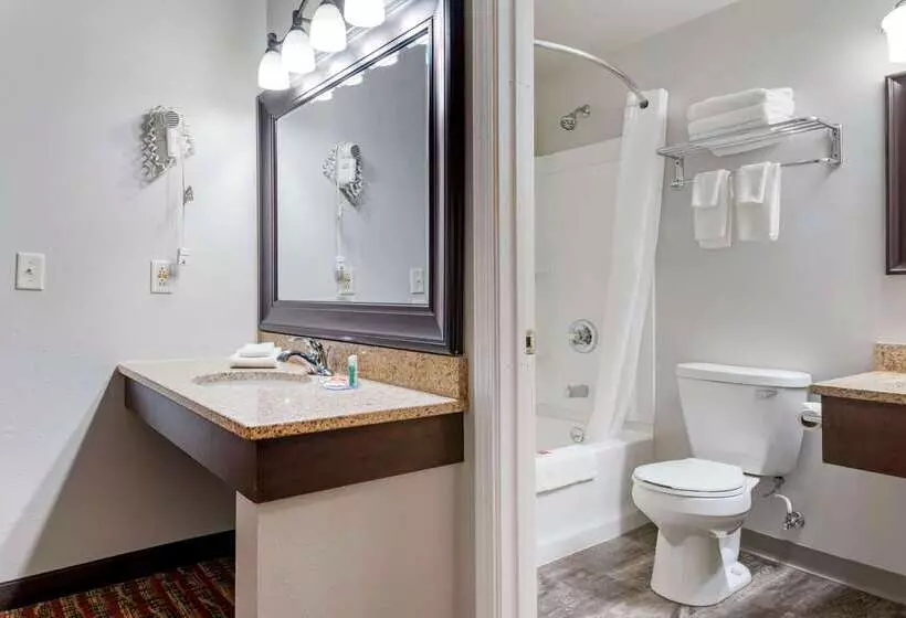 Отель Econo Lodge Lakeview