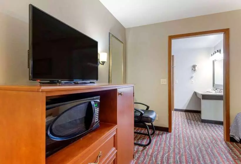 Отель Econo Lodge Lakeview