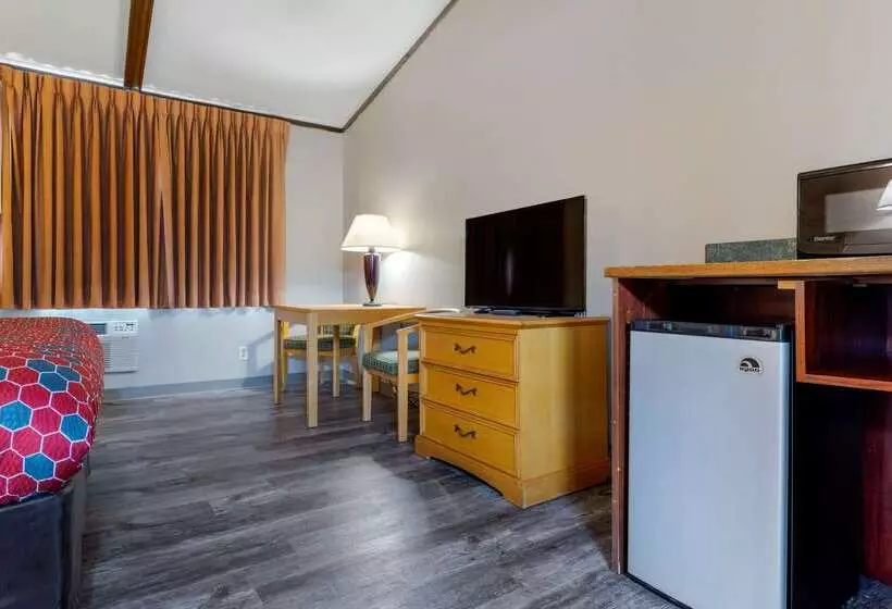 Отель Econo Lodge Lakeview